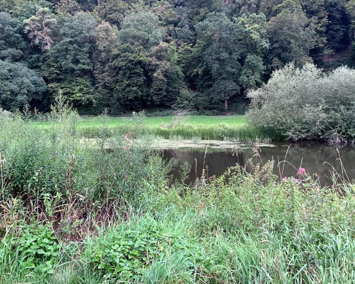 Zur Fuldaschleife am Campingplatz