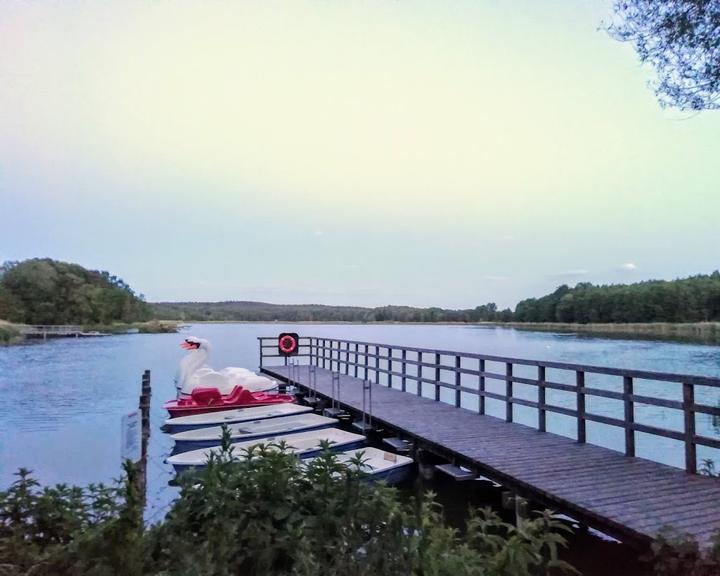 Stranddistel Kolpinsee